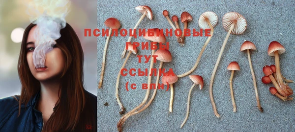 соль курить ск Абинск